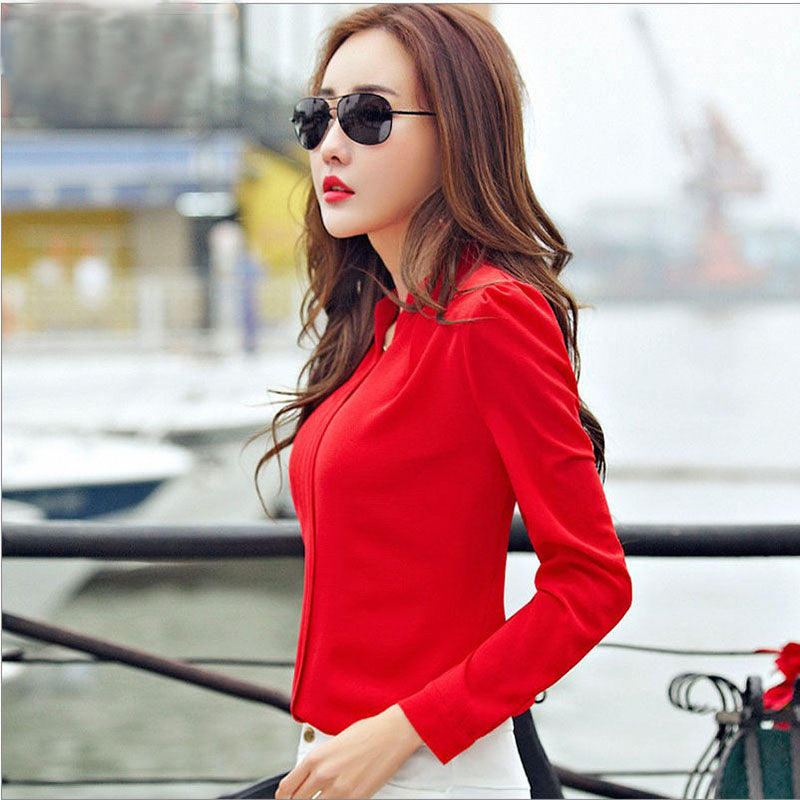 Slim Chiffon Long Sleeve Shirt